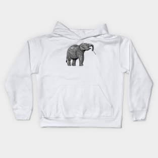 Baby Asian elephant Kids Hoodie